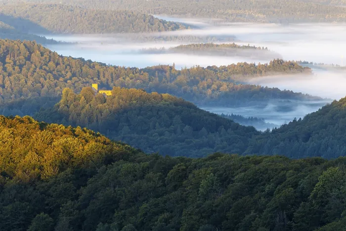 Framed Print : View over the Palatinate Forest Print, Germany Framed Print : View over the Palatinate Forest Print, Germany