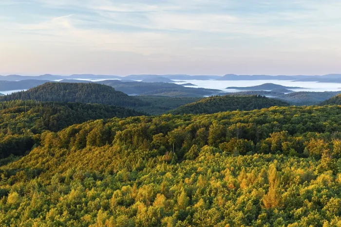 Framed Print : View over the Palatinate Forest Print, Germany Framed Print : View over the Palatinate Forest Print, Germany