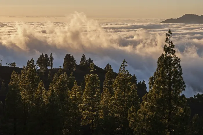 Framed Print : La Palma, Passat Clouds Print Framed Print : La Palma, Passat Clouds Print