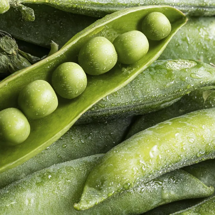 Framed Print : Top View Peas Pod Print Framed Print : Top View Peas Pod Print