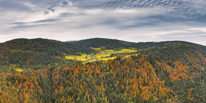 Framed Print : View from the Piketfelsen Print, Hinterzarten, Germany Framed Print : View from the Piketfelsen Print, Hinterzarten, Germany