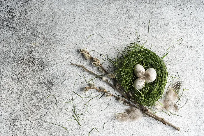 Framed Print : Rustic Easter Setting Print Featuring Fresh Green Grass Nest Framed Print : Rustic Easter Setting Print Featuring Fresh Green Grass Nest