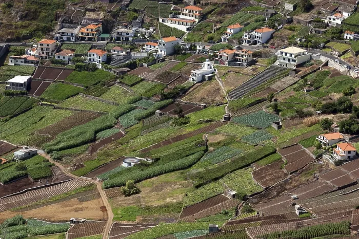Framed Print : View of terraced fields in Camara de Lobos Print, Madeira, Portugal Framed Print : View of terraced fields in Camara de Lobos Print, Madeira, Portugal