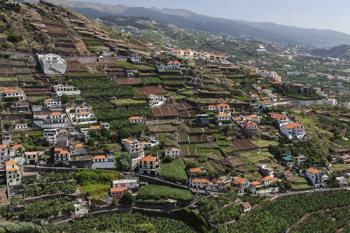 Framed Print : Camara de Lobos Terraced Fields Print, Madeira, Portugal Framed Print : Camara de Lobos Terraced Fields Print, Madeira, Portugal