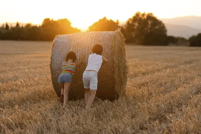 Framed Print : Back View of Children Playing with Hay Bale Print Framed Print : Back View of Children Playing with Hay Bale Print