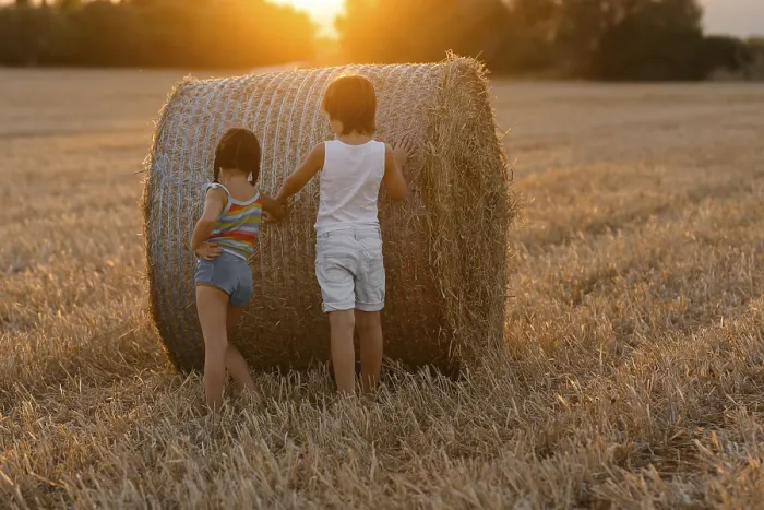 Framed Print : Rural Childhood Scene Print Framed Print : Rural Childhood Scene Print