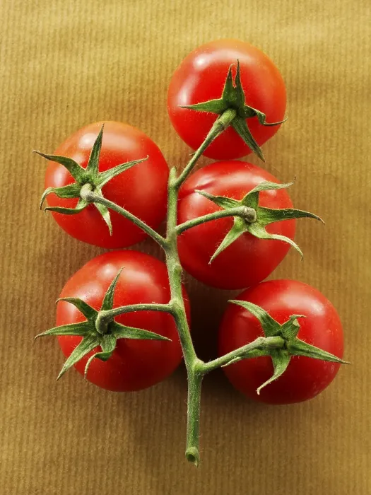 Framed Print : Vine Tomatoes Print Framed Print : Vine Tomatoes Print