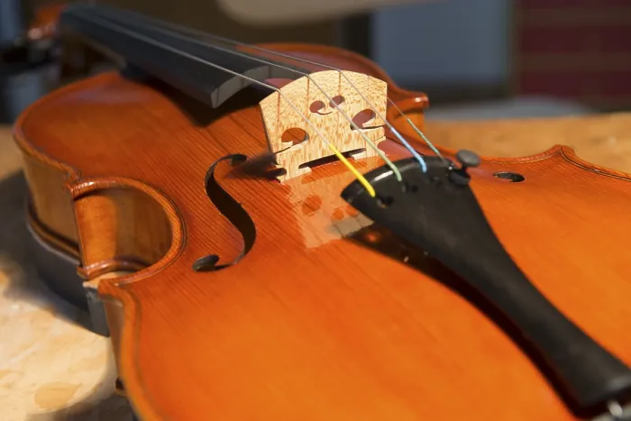 Framed Print : Violin Print by imageBROKER Framed Print : Violin Print by imageBROKER