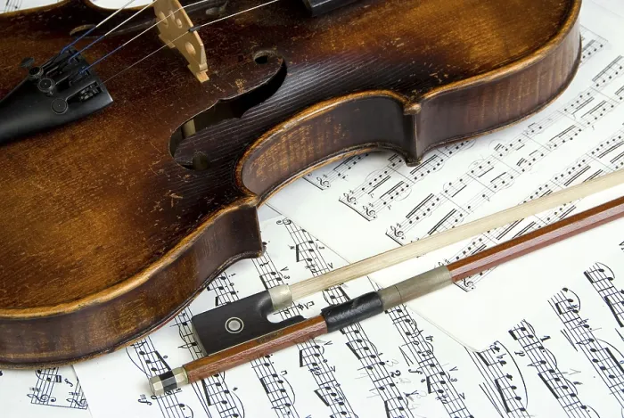 Framed Print : Violin Print by ImageBROKER Framed Print : Violin Print by ImageBROKER