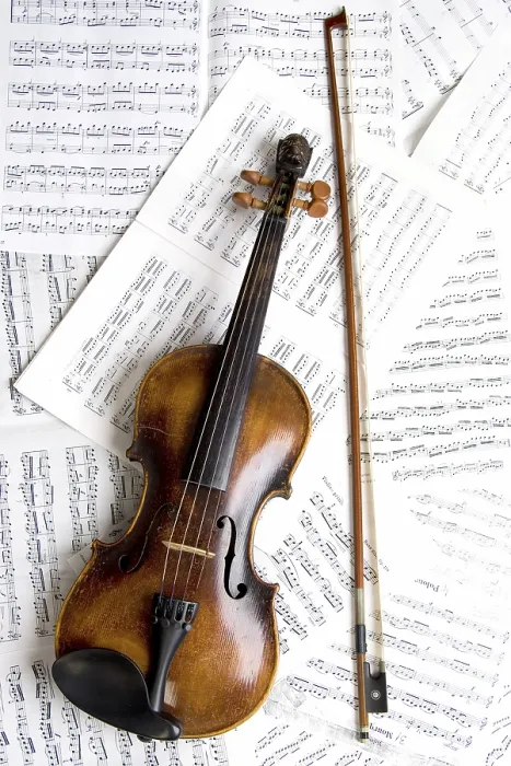 Framed Print : Violin Print by ImageBROKER Framed Print : Violin Print by ImageBROKER