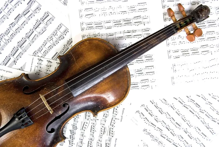 Framed Print : Violin Print by ImageBROKER Framed Print : Violin Print by ImageBROKER