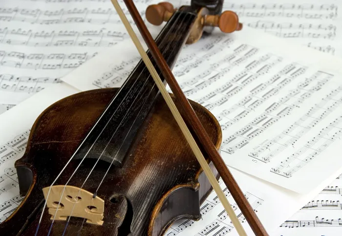 Framed Print : Violin Print by imageBROKER Framed Print : Violin Print by imageBROKER