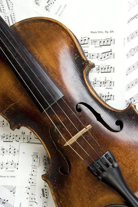 Framed Print : Violin Print by imageBROKER Framed Print : Violin Print by imageBROKER