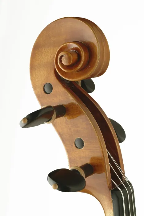 Framed Print : Violin Scroll and Tuning Pegs Print Framed Print : Violin Scroll and Tuning Pegs Print