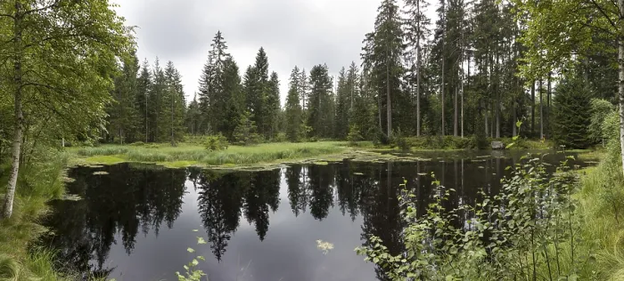 Framed Print : Waldsee Print by ImageBROKER