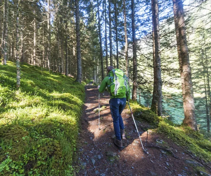 Framed Print : Walker on forest trail going uphill Print, Rohrmoos Obertal, Austria Framed Print : Walker on forest trail going uphill Print, Rohrmoos Obertal, Austria