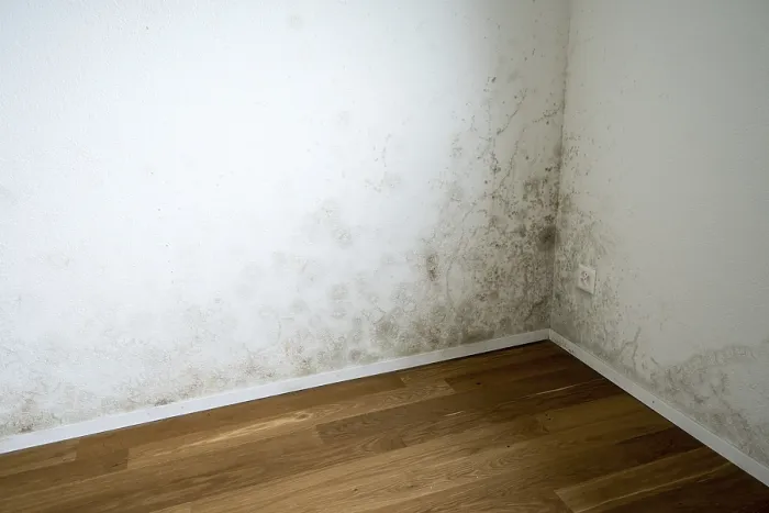 Framed Print : Wall with Mould, Empty Flat Print Framed Print : Wall with Mould, Empty Flat Print