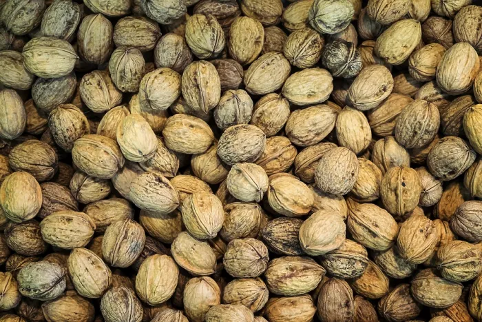Framed Print : Walnuts Print - A Close-Up Framed Print : Walnuts Print - A Close-Up