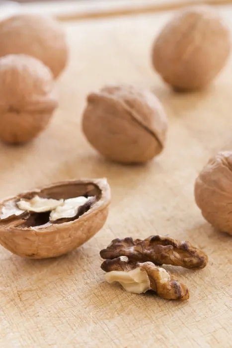 Framed Print : Walnuts Print - Aromatic Fruit Framed Print : Walnuts Print - Aromatic Fruit