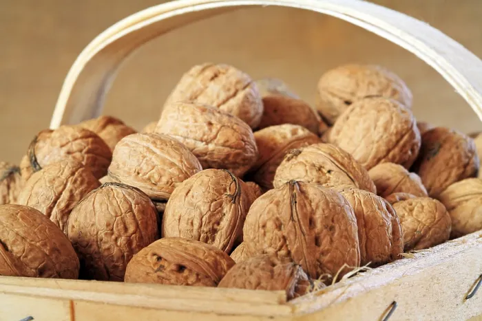 Framed Print : Walnuts in a Basket Print