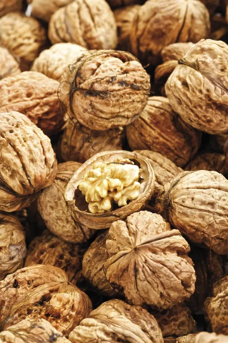 Framed Print : Walnuts Full Frame Print Framed Print : Walnuts Full Frame Print