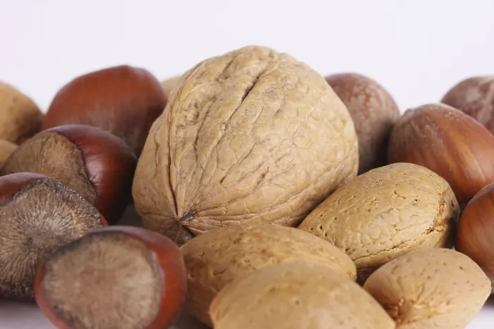 Framed Print : Walnuts, Hazelnuts and Almonds Print Framed Print : Walnuts, Hazelnuts and Almonds Print