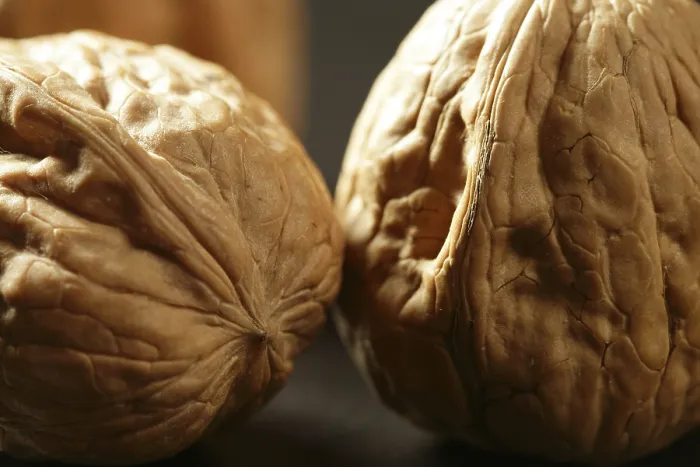 Framed Print : Walnuts with Shells Print on Black Background