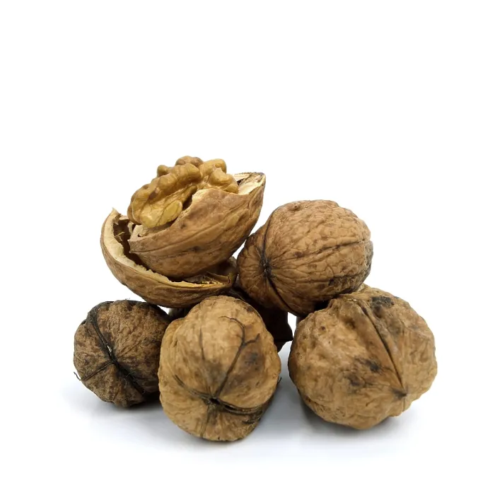 Framed Print : Walnuts Print on White Background Framed Print : Walnuts Print on White Background