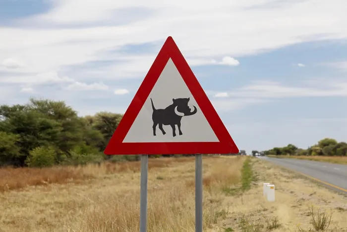 Framed Print : Warning Sign: Caution Warthogs Print, Namibia