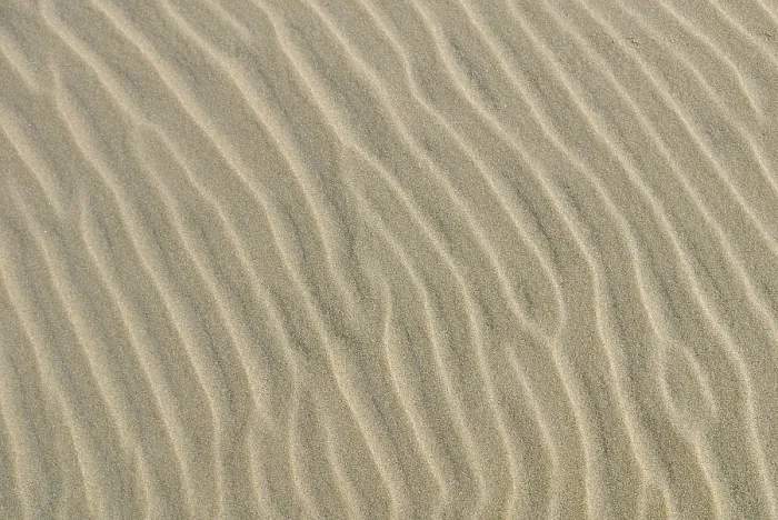 Framed Print : Washboard-like Sand Structure Print Framed Print : Washboard-like Sand Structure Print
