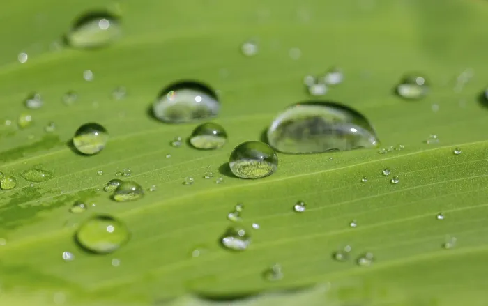 Framed Print : Water Drop Print Framed Print : Water Drop Print