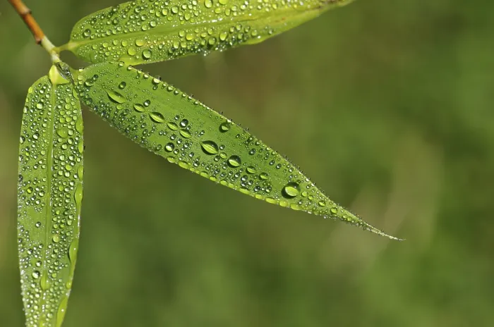 Framed Print : Water Drop Print, Close-Up Detail Framed Print : Water Drop Print, Close-Up Detail