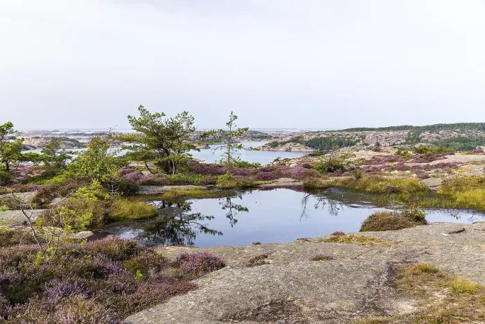Framed Print : Vetteberg Water Points Print, Sweden
