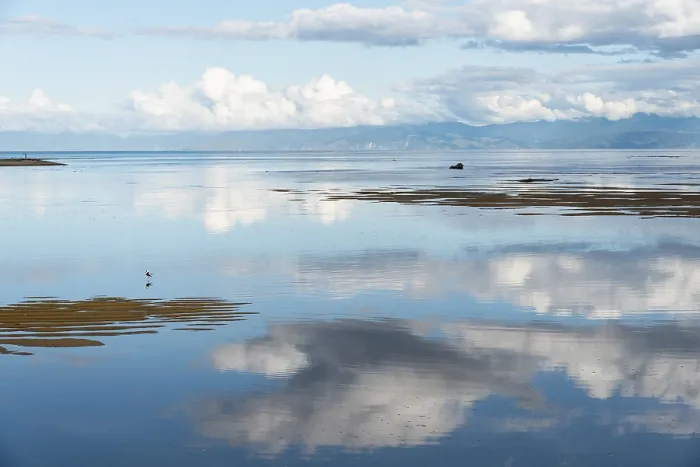 Framed Print : Water Scene Print with Bird and Cloud Reflections Framed Print : Water Scene Print with Bird and Cloud Reflections