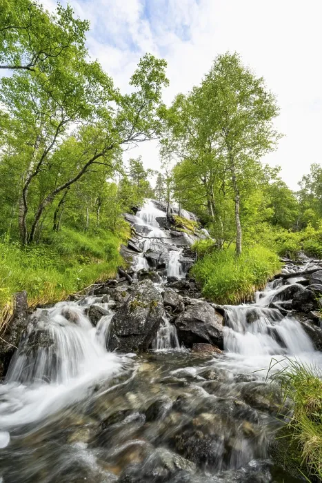 Framed Print : Waterfall in Birch Forest Print, Innerdalen, Norway Framed Print : Waterfall in Birch Forest Print, Innerdalen, Norway