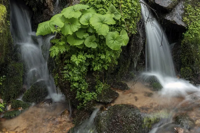 Framed Print : Waterfall in Vosges, Alsace Print Framed Print : Waterfall in Vosges, Alsace Print