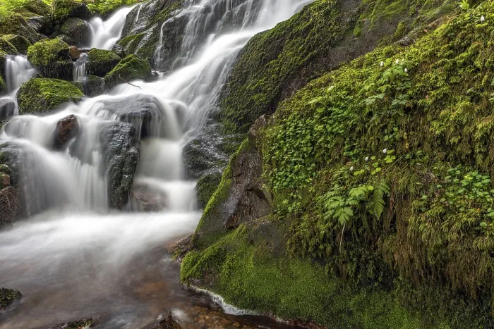 Framed Print : Waterfall in a Mountain Forest Print, Vosges, Alsace, France Framed Print : Waterfall in a Mountain Forest Print, Vosges, Alsace, France
