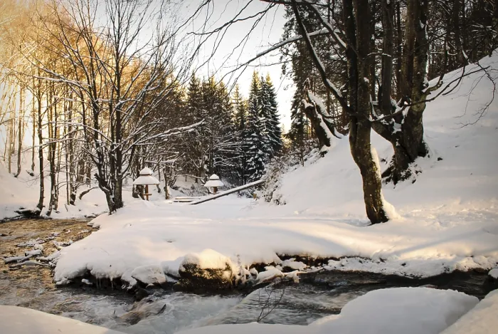 Framed Print : Waterfall Mountain River Print in Winter Forest Landscape Framed Print : Waterfall Mountain River Print in Winter Forest Landscape
