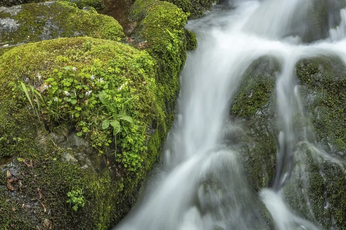 Framed Print : Waterfall Print on Mountain Stream in Spring, Vosges, France Framed Print : Waterfall Print on Mountain Stream in Spring, Vosges, France