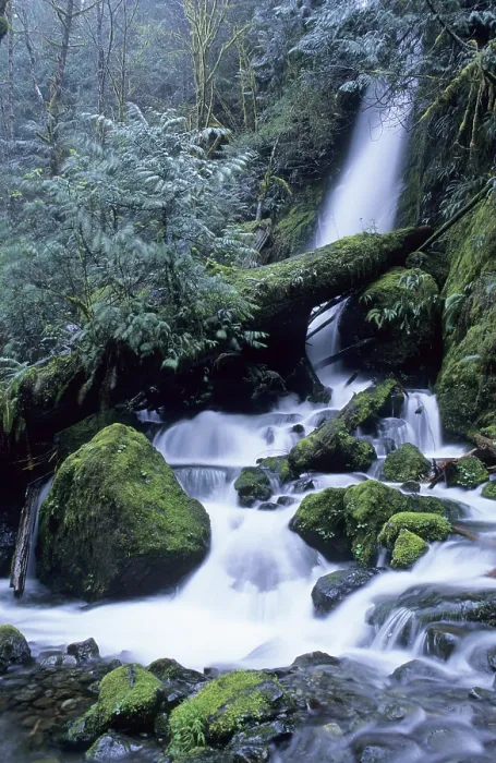 Framed Print : Waterfall Print, Olympic Peninsula, Washington State Framed Print : Waterfall Print, Olympic Peninsula, Washington State