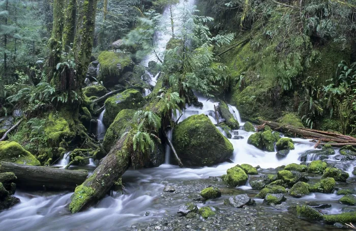 Framed Print : Waterfall Print on Olympic Peninsula, Washington State Framed Print : Waterfall Print on Olympic Peninsula, Washington State