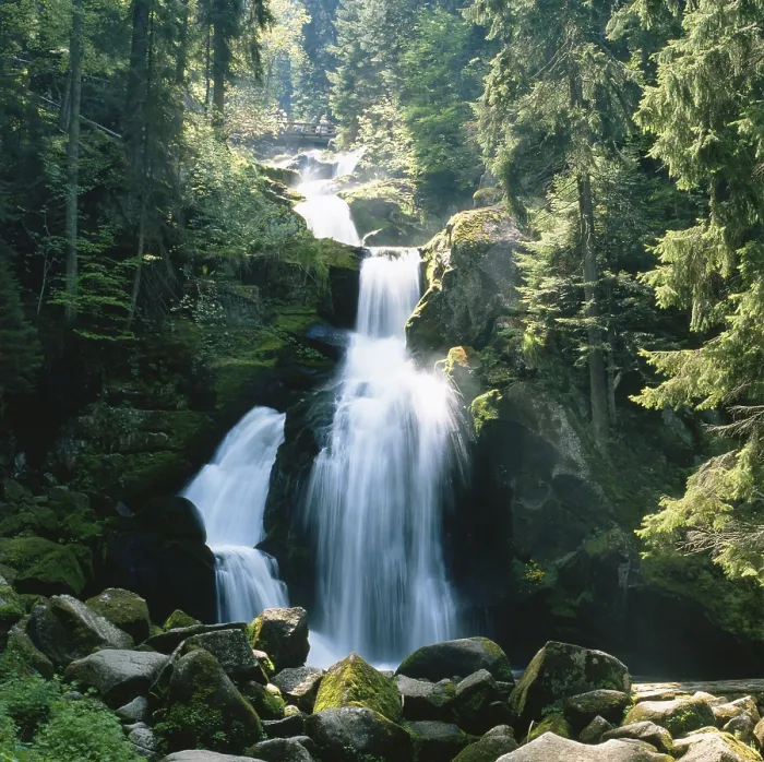 Framed Print : Waterfall Print, Triberg, Black Forest, Germany Framed Print : Waterfall Print, Triberg, Black Forest, Germany