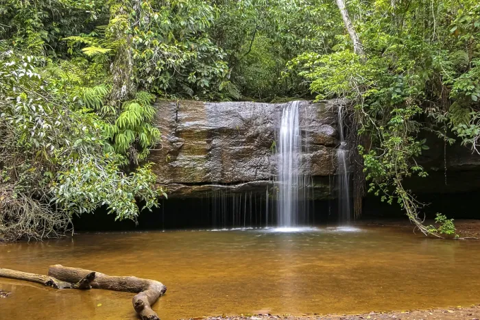 Framed Print : Waterfall in Tropical Environment Print Framed Print : Waterfall in Tropical Environment Print
