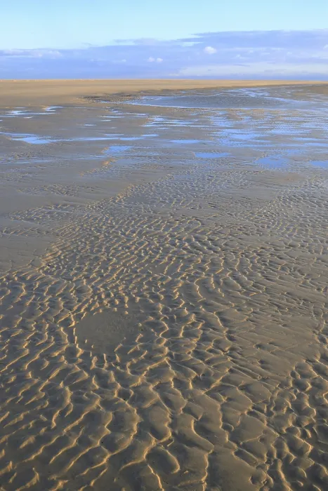 Framed Print : Wave-like patterns in sand at low tide, Sankt Peter-Ording Print Framed Print : Wave-like patterns in sand at low tide, Sankt Peter-Ording Print