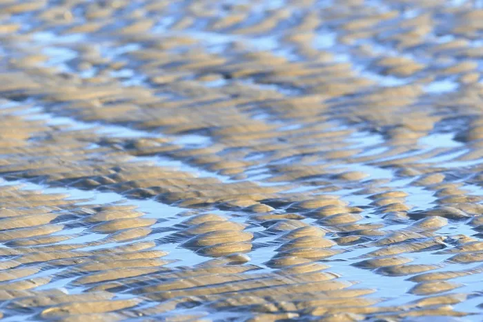 Framed Print : Evening Light Sand Ripple Print, Sankt Peter-Ording, Germany Framed Print : Evening Light Sand Ripple Print, Sankt Peter-Ording, Germany