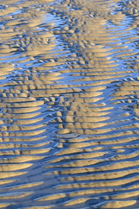 Framed Print : Low Tide Sand Ripples Print, St. Peter-Ording Germany Framed Print : Low Tide Sand Ripples Print, St. Peter-Ording Germany