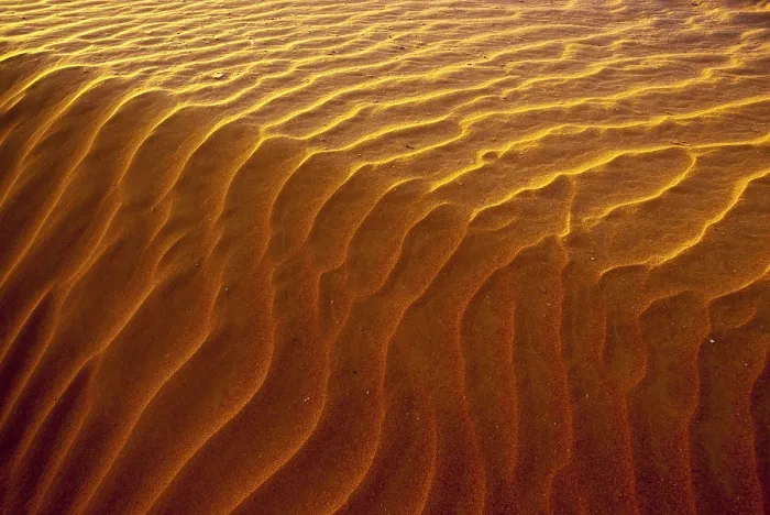 Framed Print : Erg Chegaga Wave Pattern Sand Dune Print Framed Print : Erg Chegaga Wave Pattern Sand Dune Print