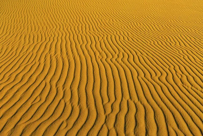 Framed Print : Namib Desert Wave Pattern Print Framed Print : Namib Desert Wave Pattern Print