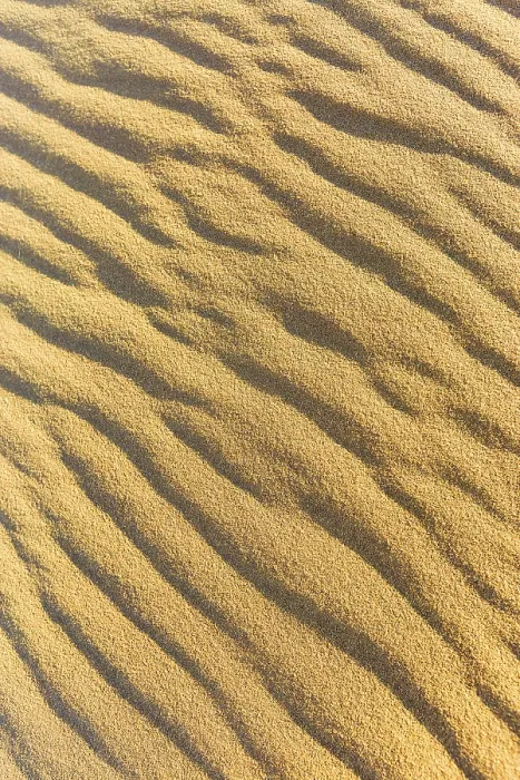 Framed Print : Namib Desert Wave Pattern Print Framed Print : Namib Desert Wave Pattern Print