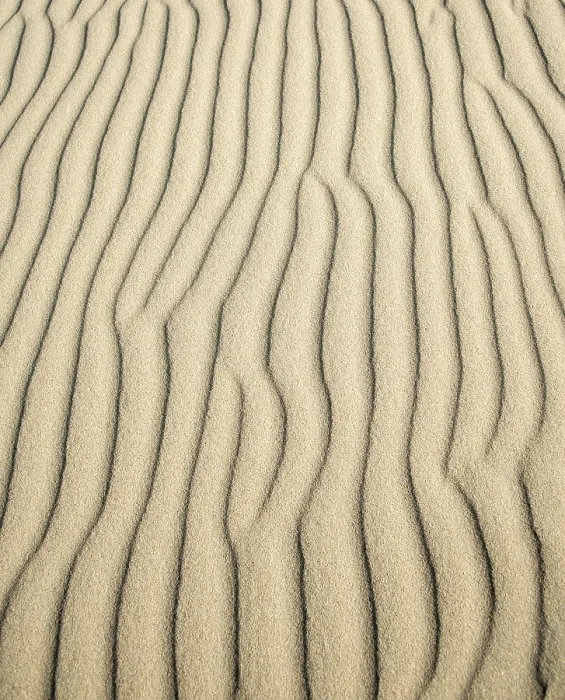Framed Print : Wave patterns in light sand, Sandfly Bay Print Framed Print : Wave patterns in light sand, Sandfly Bay Print